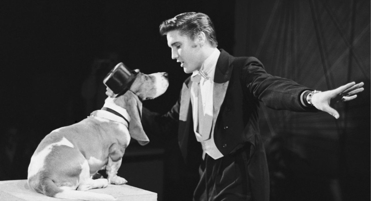 Elvis Presley – Hound Dog